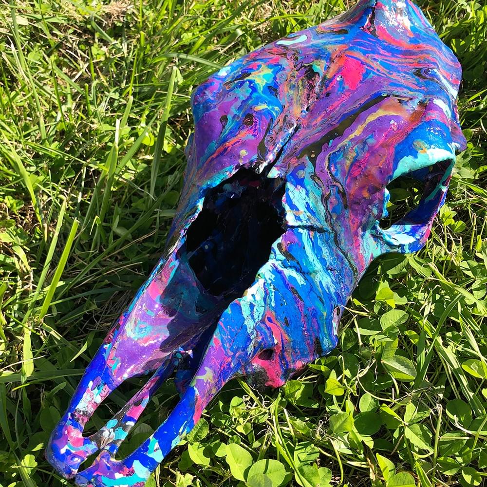 painted cow skull