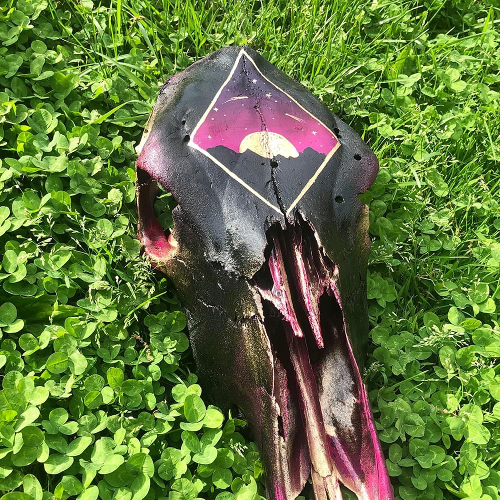 Magenta and Black Landscape Cow Skull