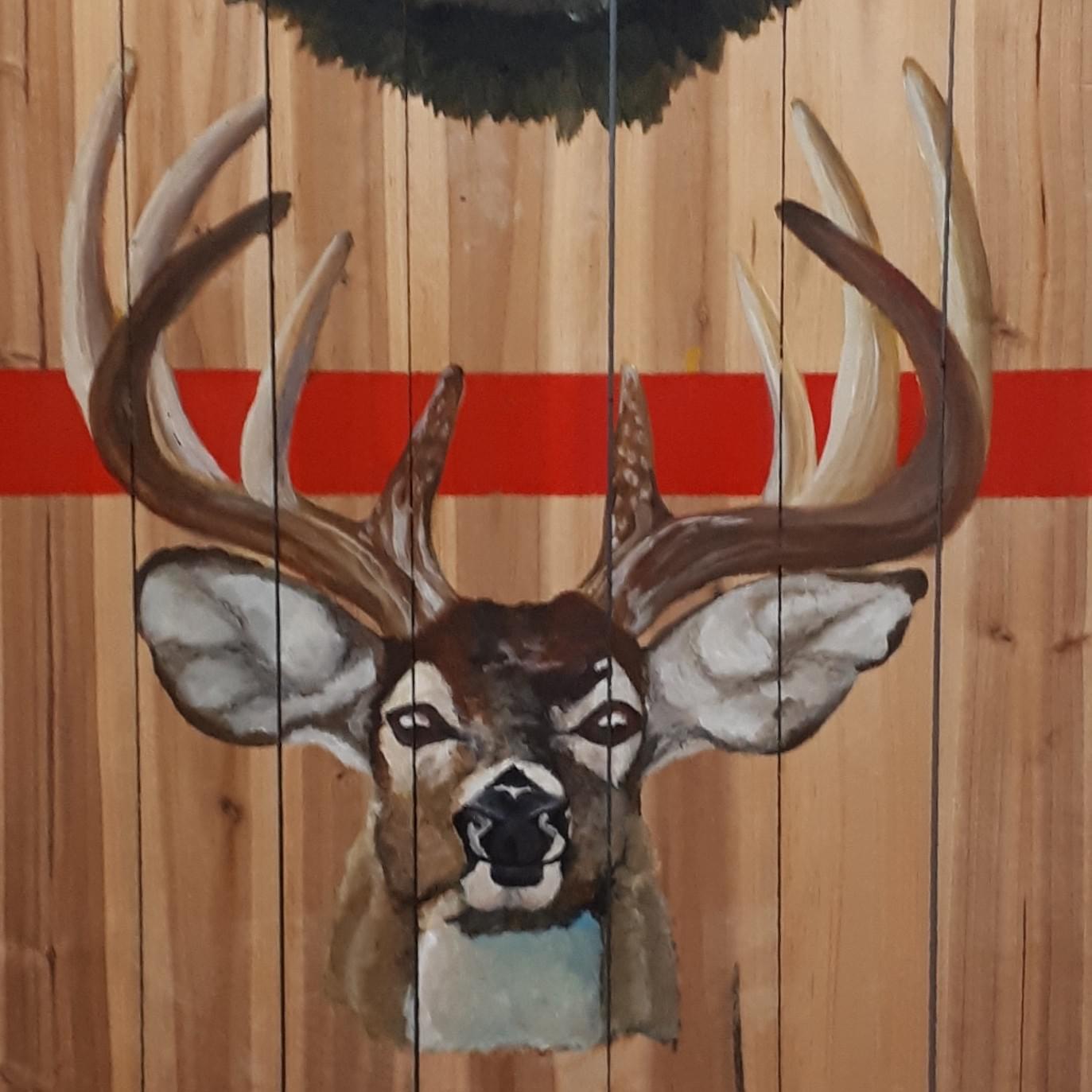 Vancouver Island, 2019