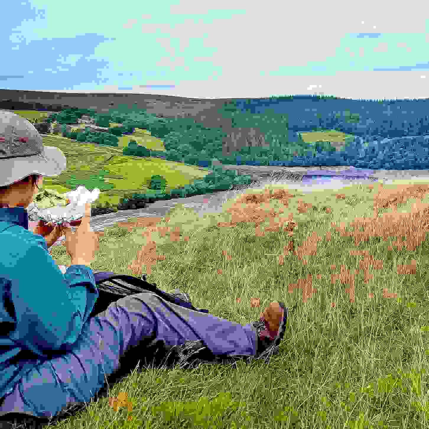Section image
