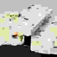 broken image