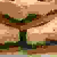 broken image