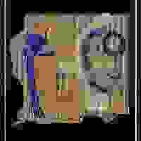 broken image