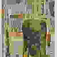 broken image