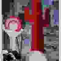 broken image