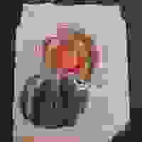 broken image