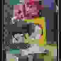 broken image