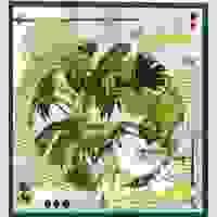 broken image