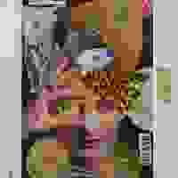 broken image