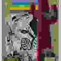 broken image