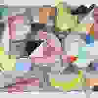 Section image