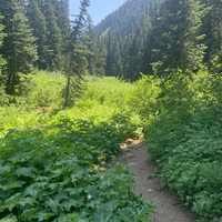 Hiking in Cle Elum, Washington