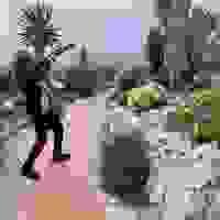 broken image