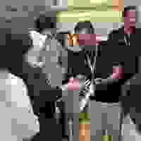 broken image