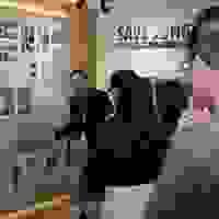 broken image