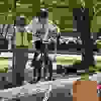 broken image