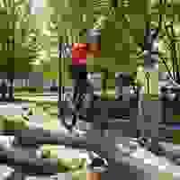 broken image