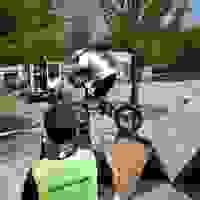 broken image