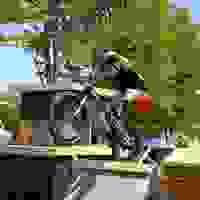 broken image