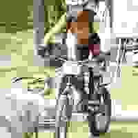 broken image