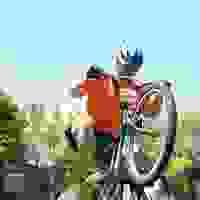 broken image