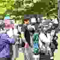broken image