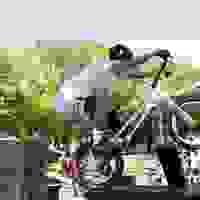 broken image