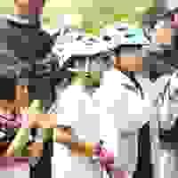 broken image