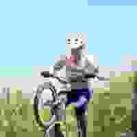 broken image