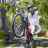 broken image