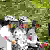 broken image