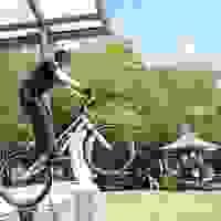 broken image