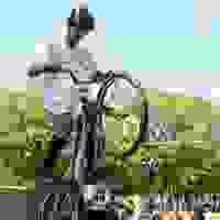 broken image