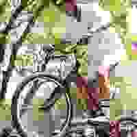 broken image