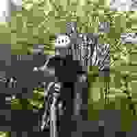 broken image