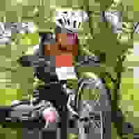 broken image