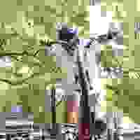 broken image