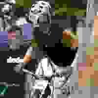 broken image