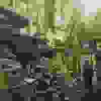 broken image