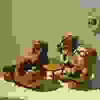 broken image
