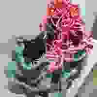broken image