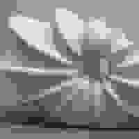 broken image