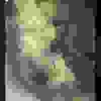 broken image