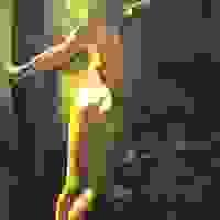 broken image