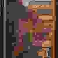 broken image