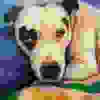 broken image