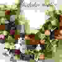 broken image
