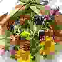 broken image