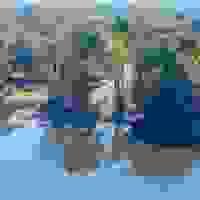 broken image