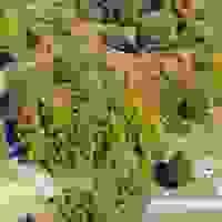 broken image